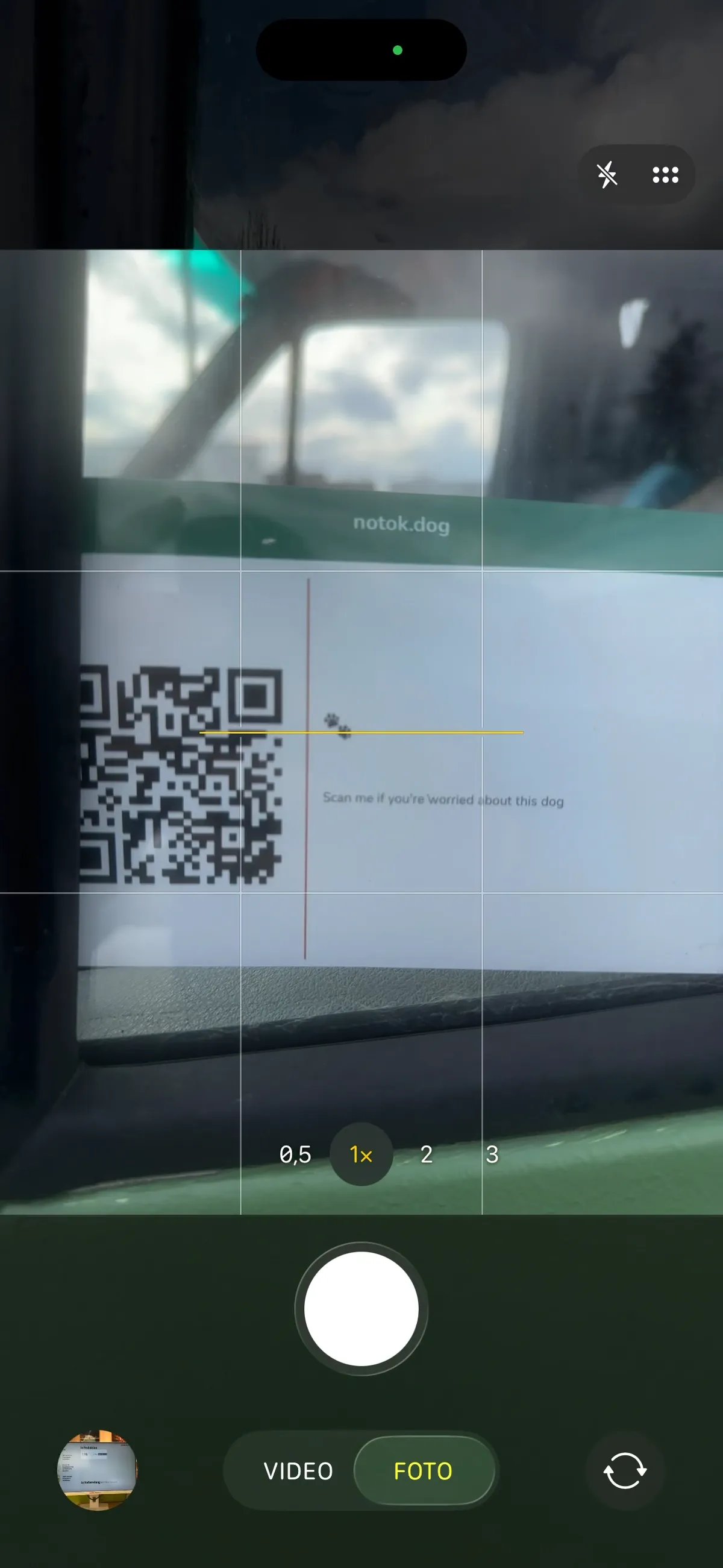 iPhone-Kamera scannt den notok.dog QR-Code durch die Windschutzscheibe. Die Kamera erkennt den Code sofort.