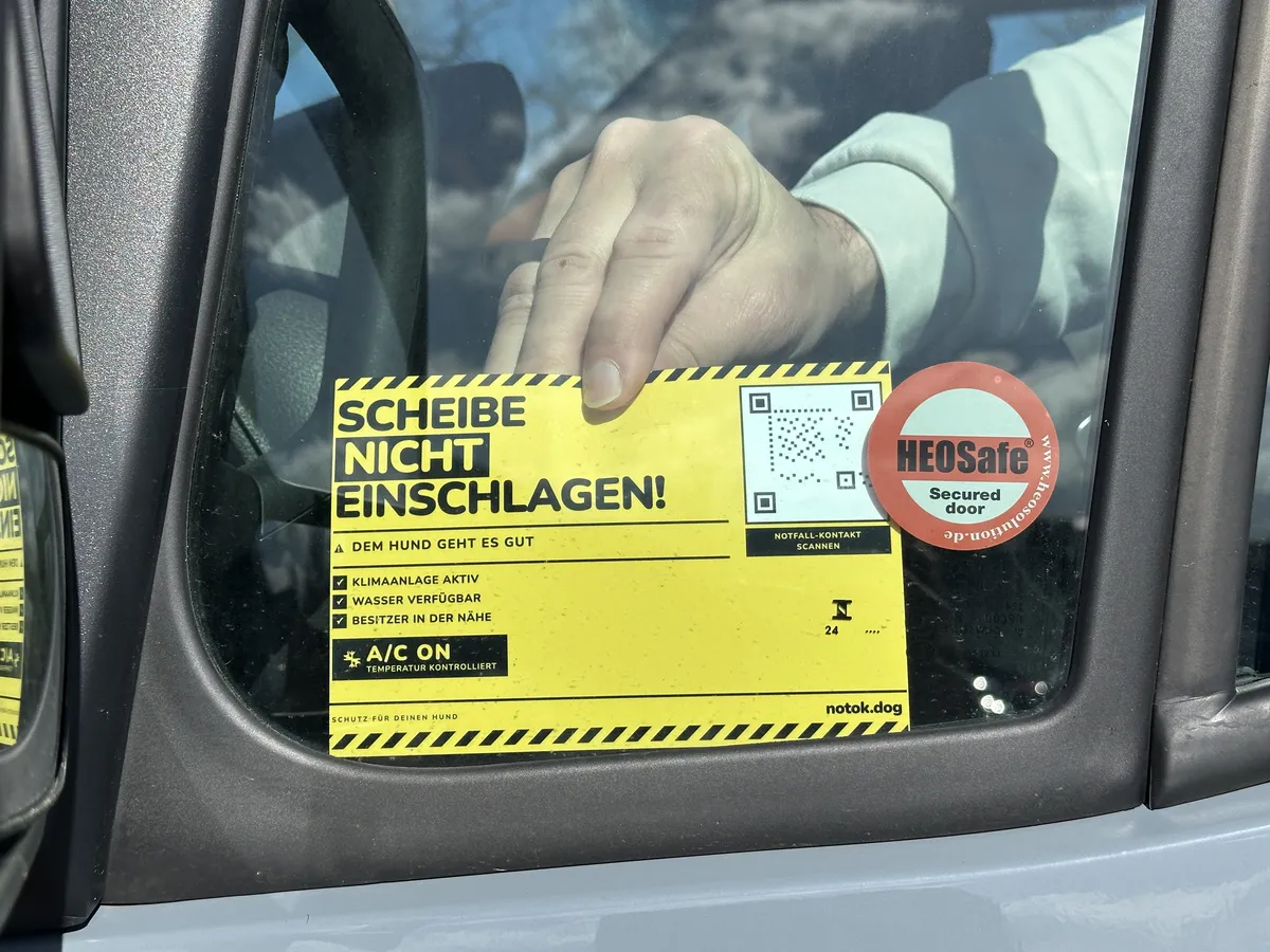 Hand bringt gelben notok.dog Sticker an Autoscheibe an